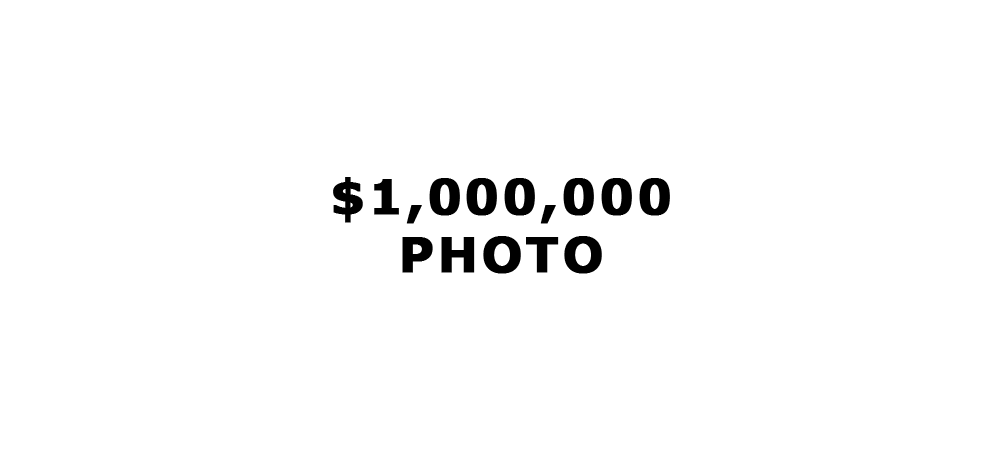 $1,000,000 photo of a potato