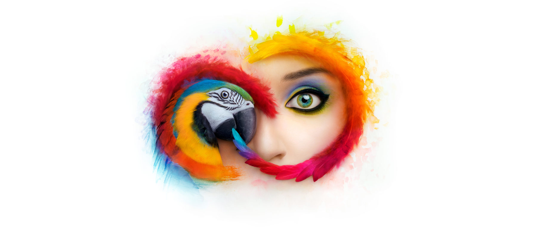 adobe creative cloud m1 download adobe creative cloud m1 download